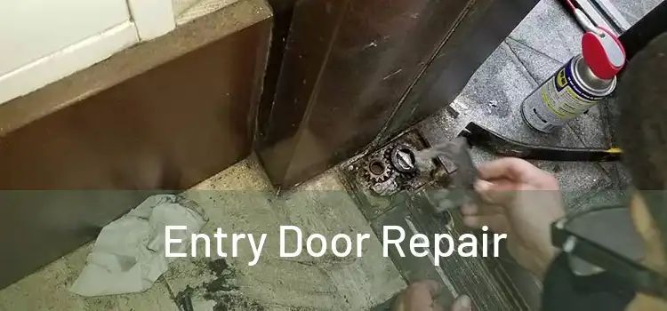  Entry Door Repair 