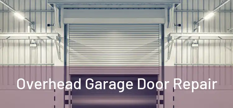 Overhead Garage Door Repair 